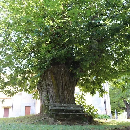 Kadevi -centralissimo, Parcheggio Gratuito, Bici- *