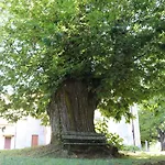 Kadevi -centralissimo, Parcheggio Gratuito, Bici- *